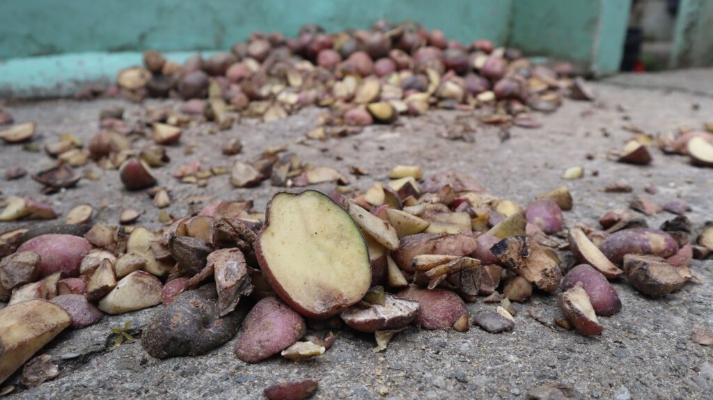 Foto de restos de papa.